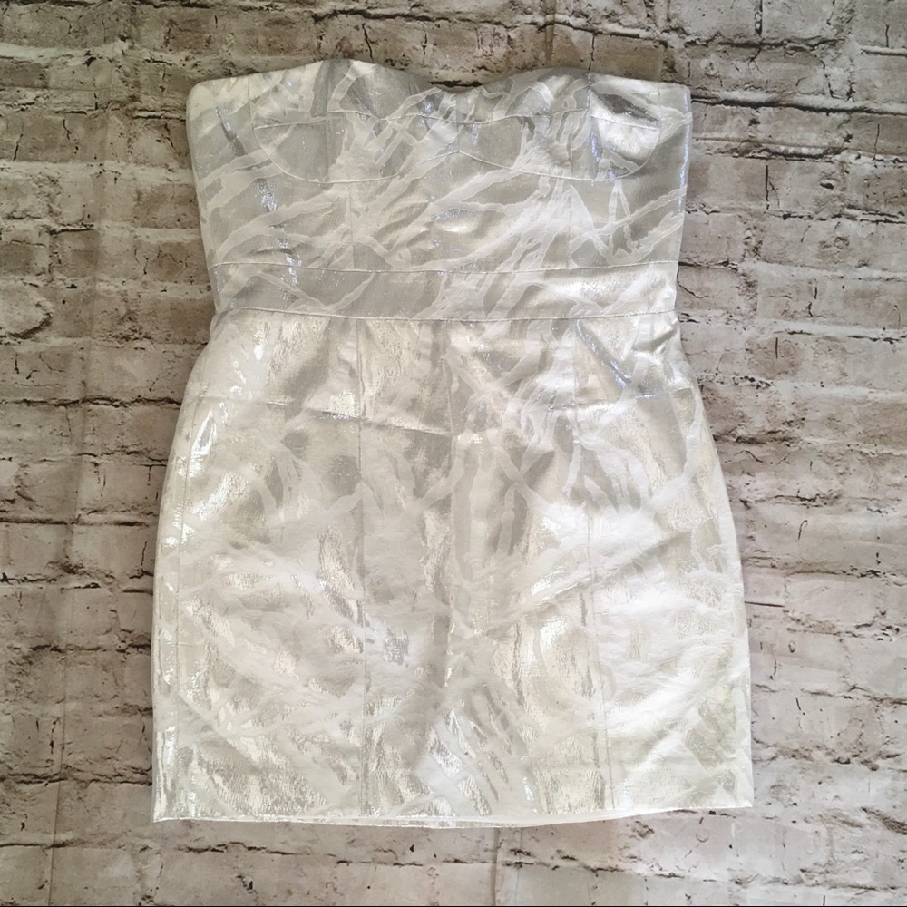 NWOT Cynthia Steffens  mini dress